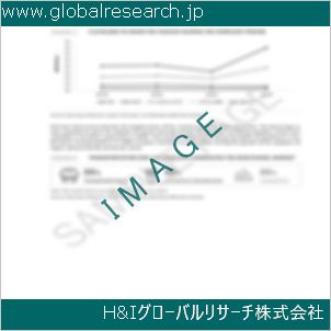 グローバルリサーチ調査資料のイメージ